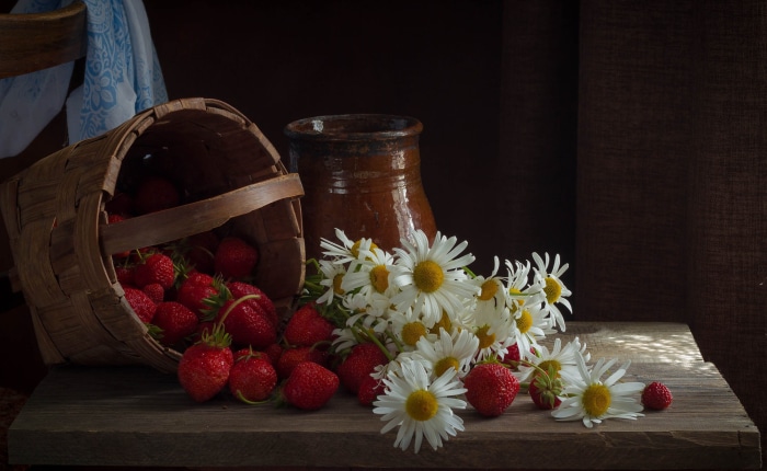 Still life with strawberries and chamomile