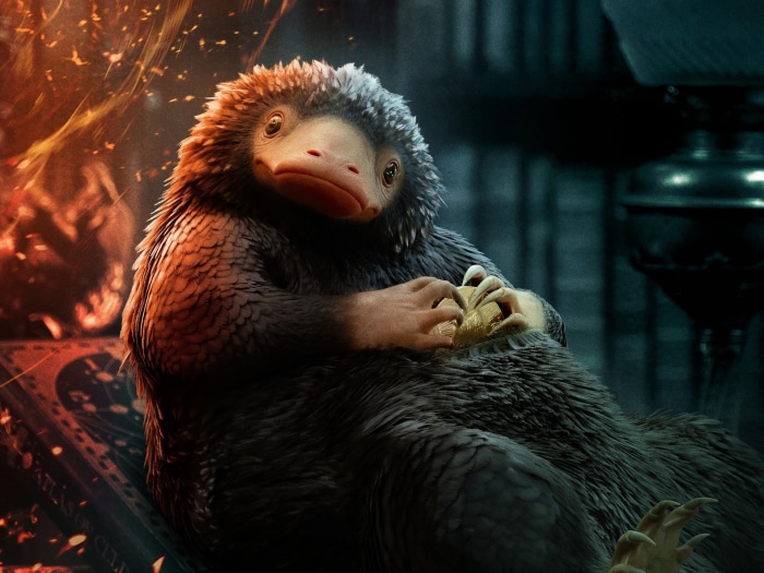 Niffler from Fantastic Beasts: The Secrets Of Dumbledore