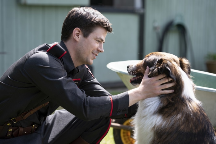 Grant Gustin from Rescued By Ruby 4K