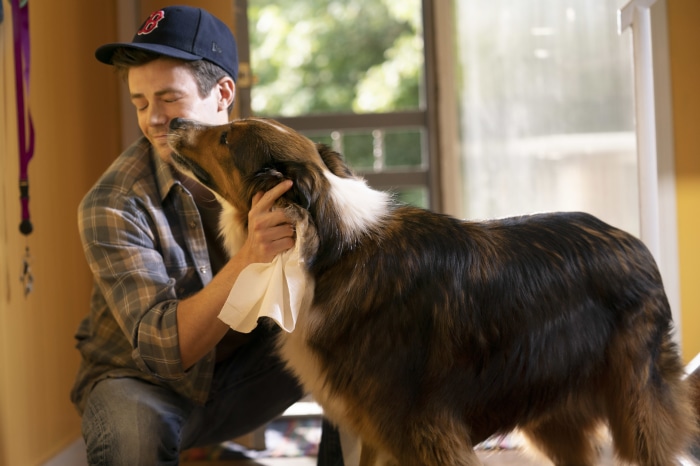 Grant Gustin and dog with tissue