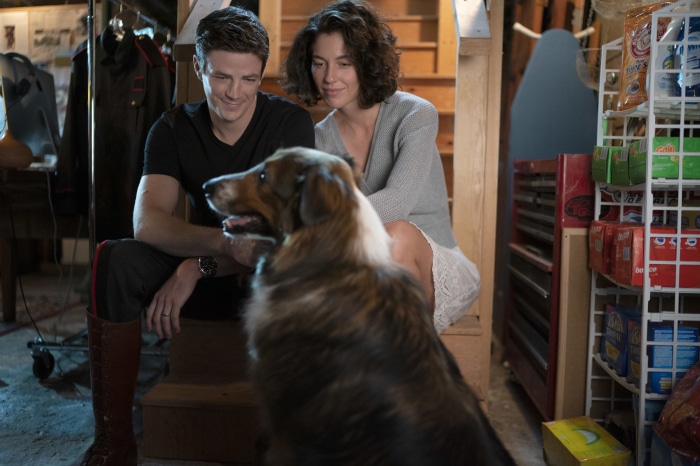 Grant Gustin and dog in Rescued By Ruby 4K