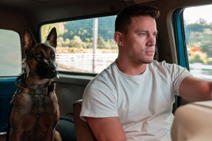 Channing Tatum and Dog in Truck 4K