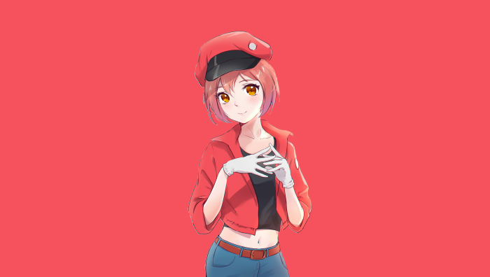 Erythrocyte from Cells at Work!