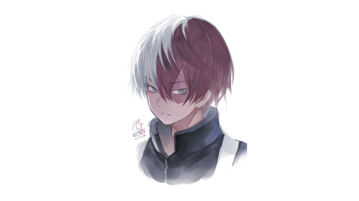 Shoto Todoroki from My Hero Academia