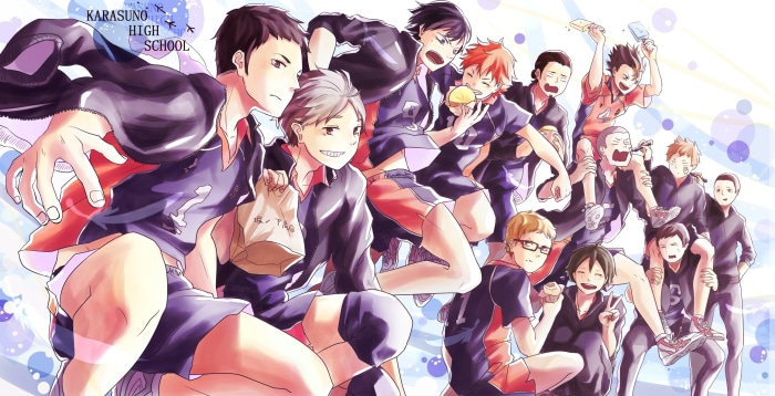 Karasuno High Volleyball Team from Haikyu!!
