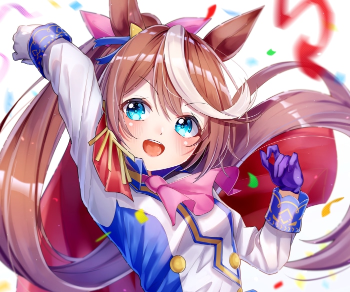 Tokai Teio from Uma Musume: Pretty Derby