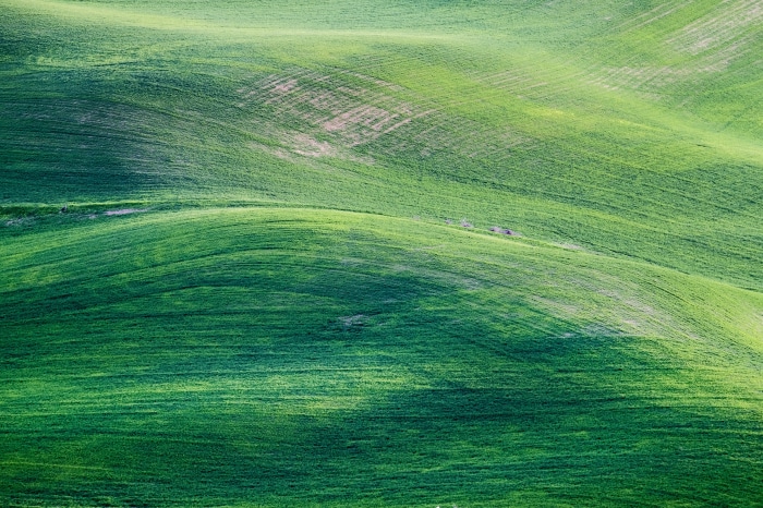 Green Rolling Hills Landscape 4K