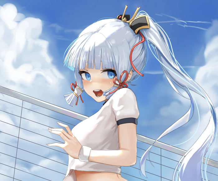 Kamisato Ayaka from Genshin Impact