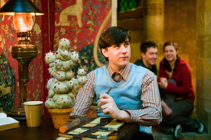 Neville Longbottom from Harry Potter with a cactus