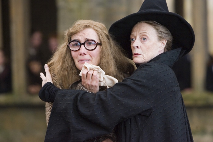 Sybill Trelawney and Minerva McGonagall from Harry Potter