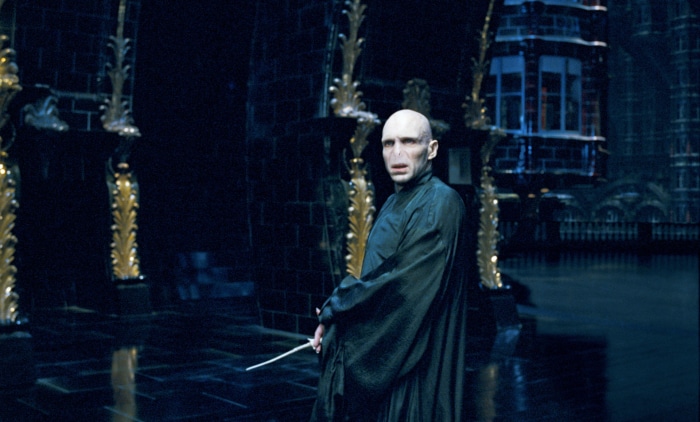 Lord Voldemort from Harry Potter