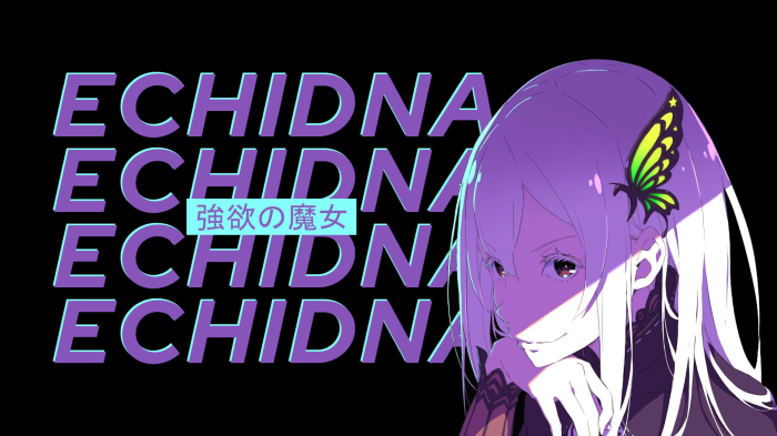 Echidna from Re:ZERO -Starting Life In Another World-