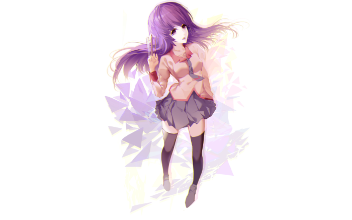 Hitagi Senjōgahara from Monogatari Series