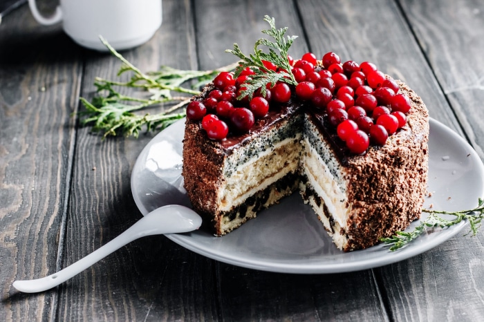 Chocolate cake with cranberries and poppy seeds