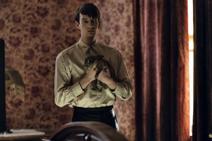 Kodi Smit-McPhee holding a rabbit