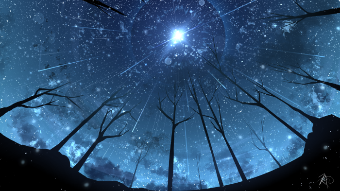 Night sky with stars and trees
