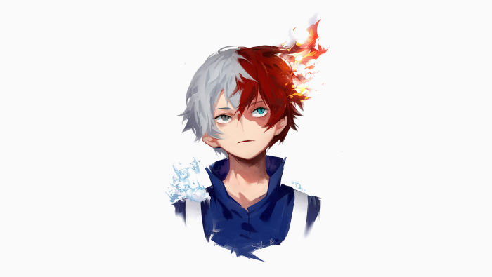 Shoto Todoroki from My Hero Academia