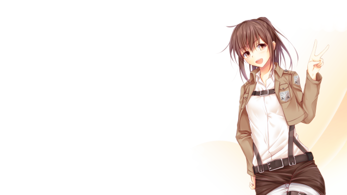 Sasha Blouse from Attack On Titan