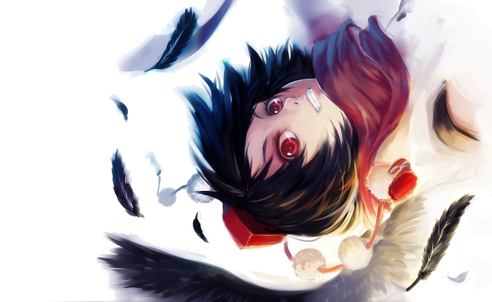 Aya Shameimaru from Touhou Project