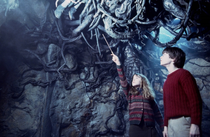 Hermione Granger and Harry Potter in Devils Snare