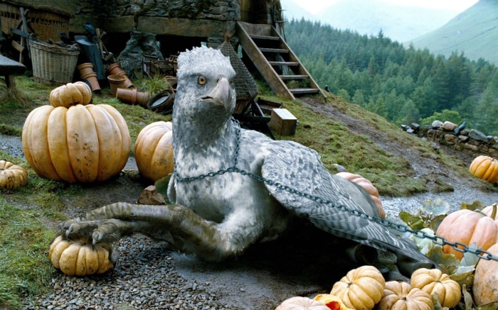 Buckbeak the Hippogriff from Harry Potter
