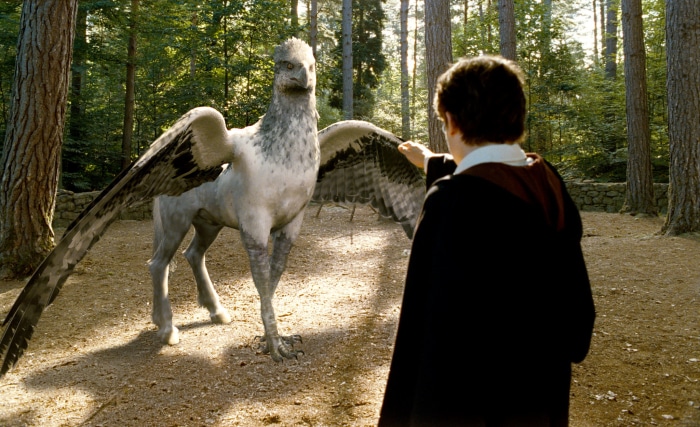 Buckbeak the Hippogriff and Harry Potter in a forest