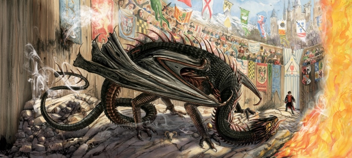 Harry Potter and the Hungarian Horntail Dragon
