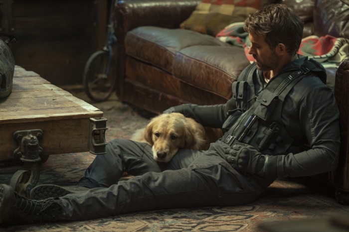 Ryan Reynolds with a dog in The Adam Project