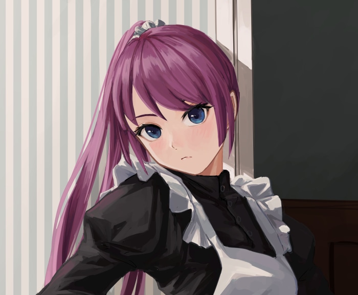 Hitagi Senjōgahara from Monogatari Series