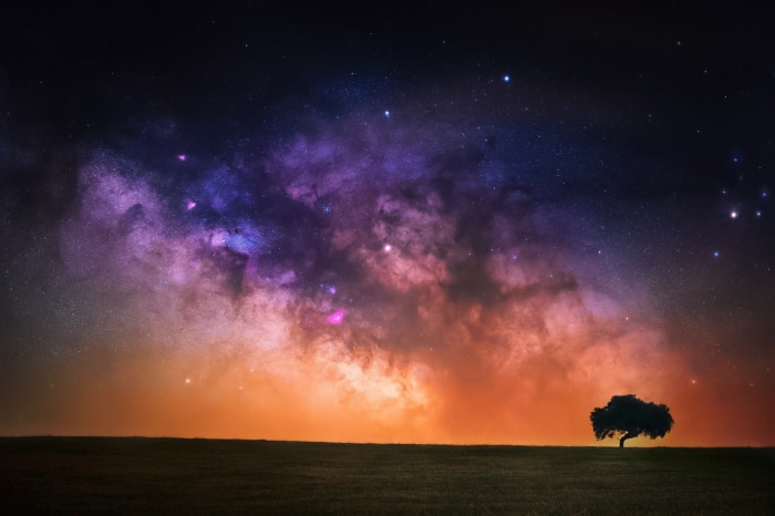Milky Way galaxy over a lone tree