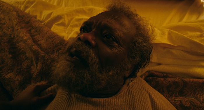 The Last Days of Ptolemy Grey