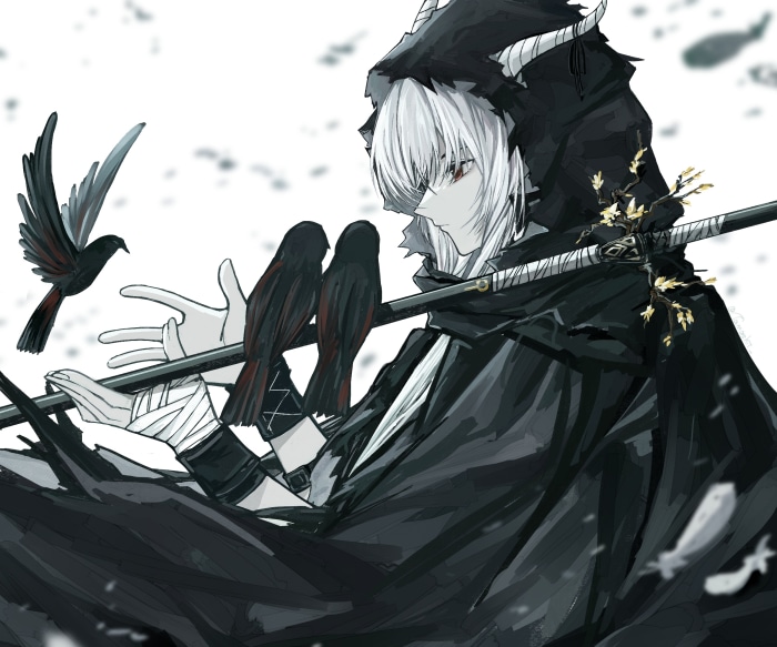 Shining from Arknights with birds and sword