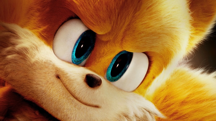 Miles Tails Prower from Sonic The Hedgehog 2