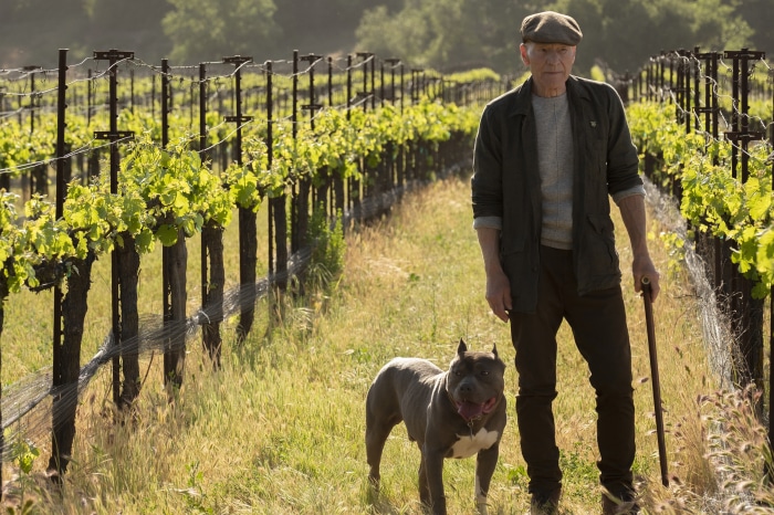 Jean-Luc Picard with dog in vineyard