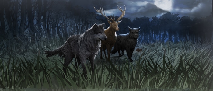 The Marauders from Harry Potter