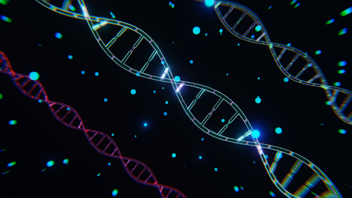 DNA Corruption