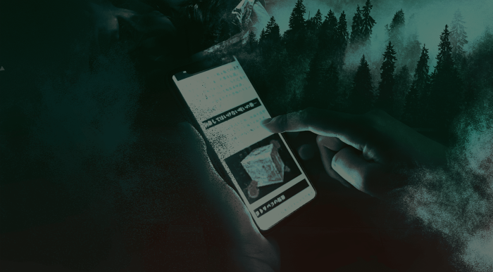 Person using smartphone in misty forest