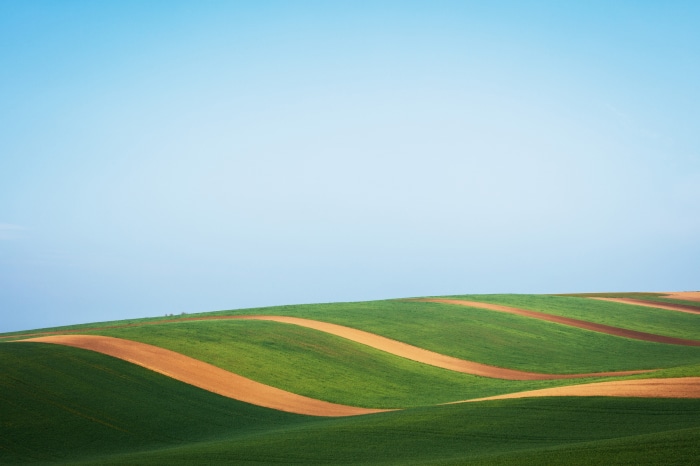 Rolling green hills with brown soil patterns