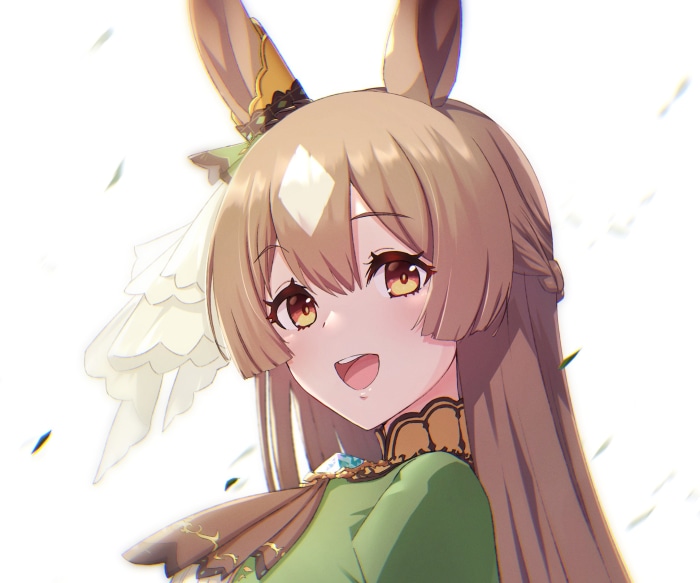 Satono Diamond from Uma Musume: Pretty Derby