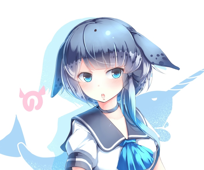 Narwhal from Kemono Friends