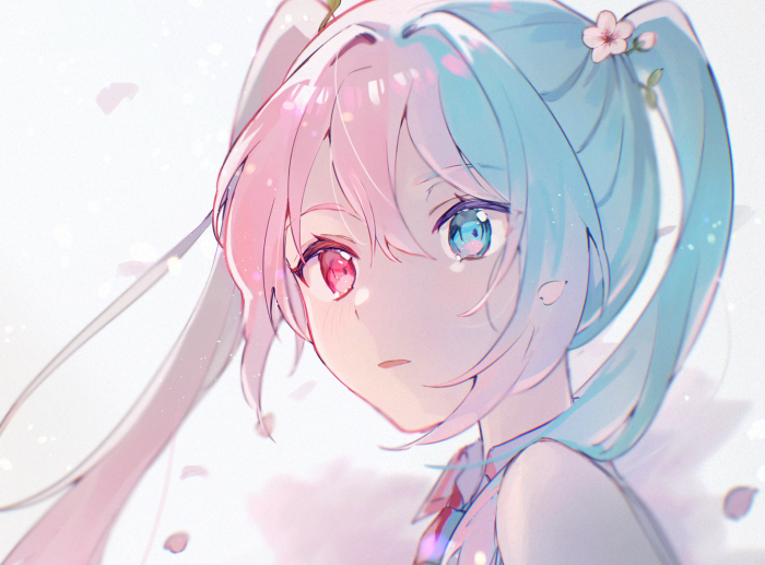 Sakura Miku with Heterochromia Eye Colors