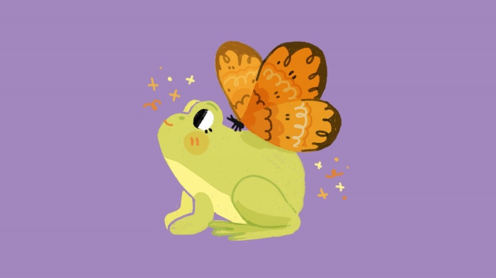 Frog with Butterfly Wings