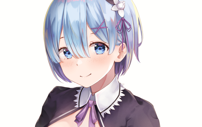 Rem from Re:ZERO -Starting Life In Another World-