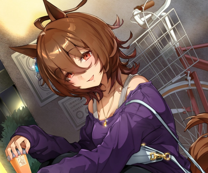 Agnes Tachyon from Uma Musume: Pretty Derby