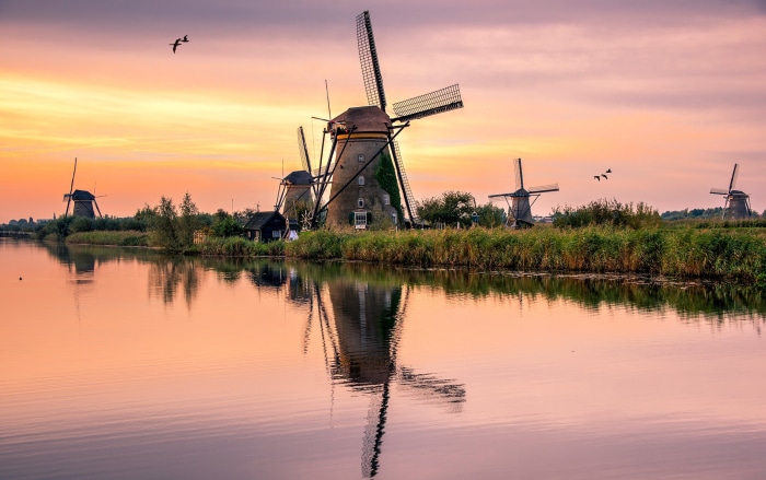 Windmills reflected in water at sunset in the Netherlands