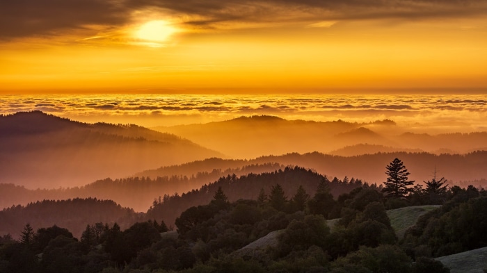 Sunset over foggy mountains with trees