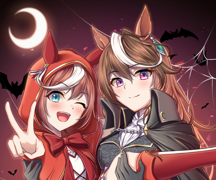 Tokai Teio and Symboli Rudolf from Uma Musume: Pretty Derby