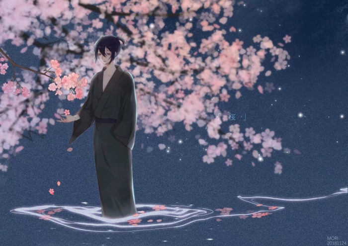 Yato from Noragami under cherry blossoms