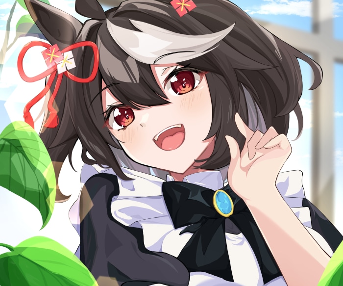 Kitasan Black from Uma Musume: Pretty Derby