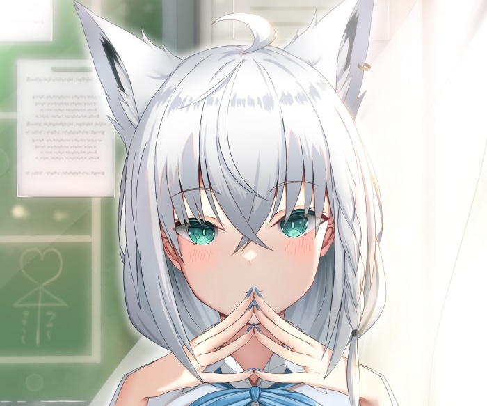 Shirakami Fubuki from Hololive
